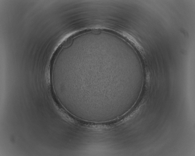 X0000116610934200912241730