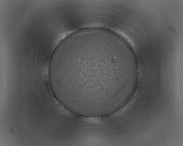 X0000116610937200912241730