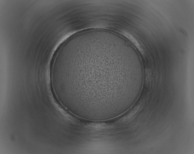 X0000116610939200912241730