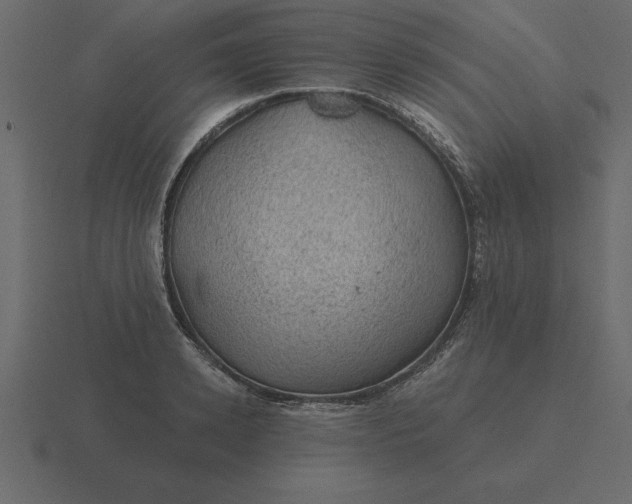 X0000116610942200912241730