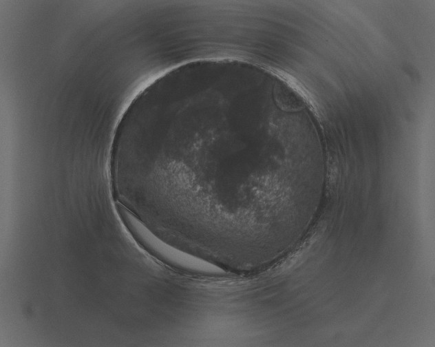 X0000116610943200912241730