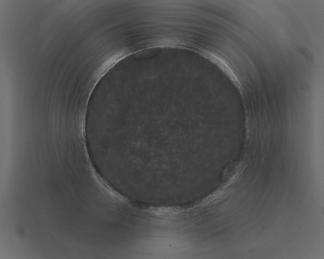 X0000116610946200912241730