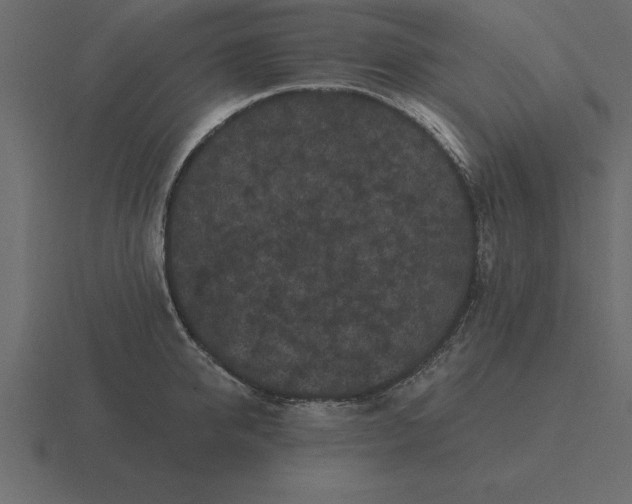 X0000116610950200912241731