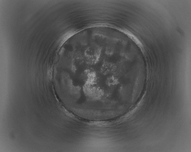 X0000116610953200912241731