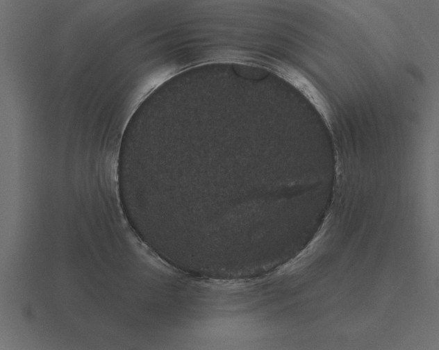 X0000116610954200912241731