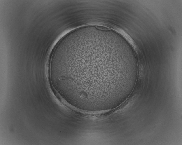 X0000116610955200912241731