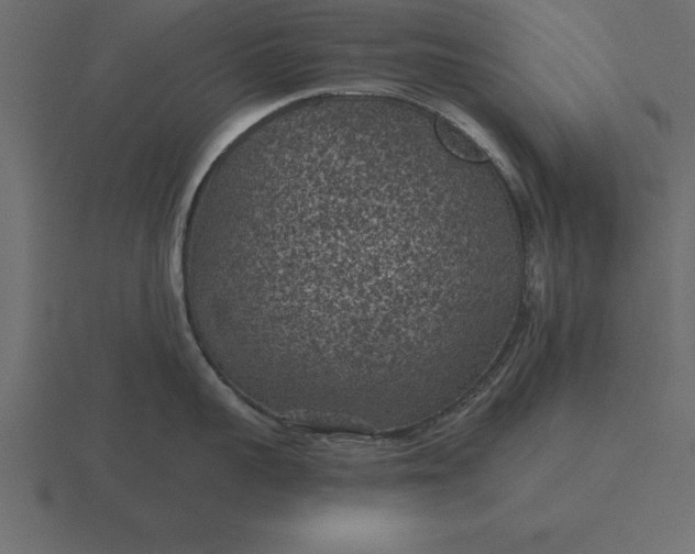 X0000116610959200912241731