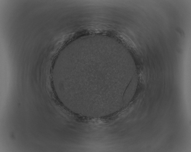 X0000116610961200912241730