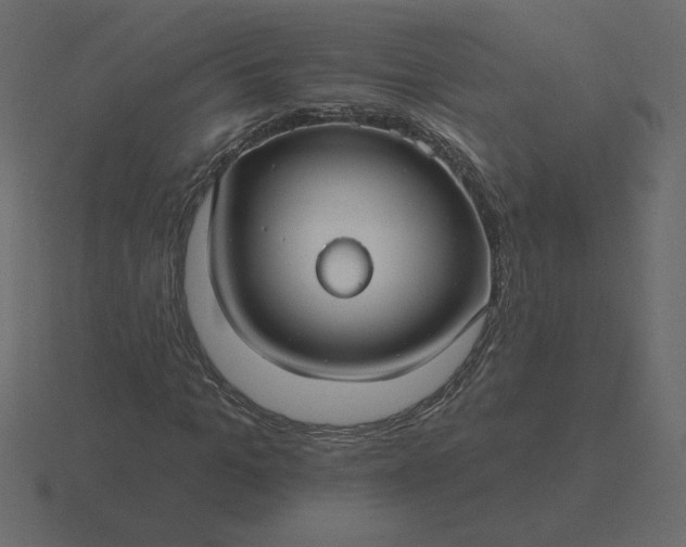 X0000116610965200912241730