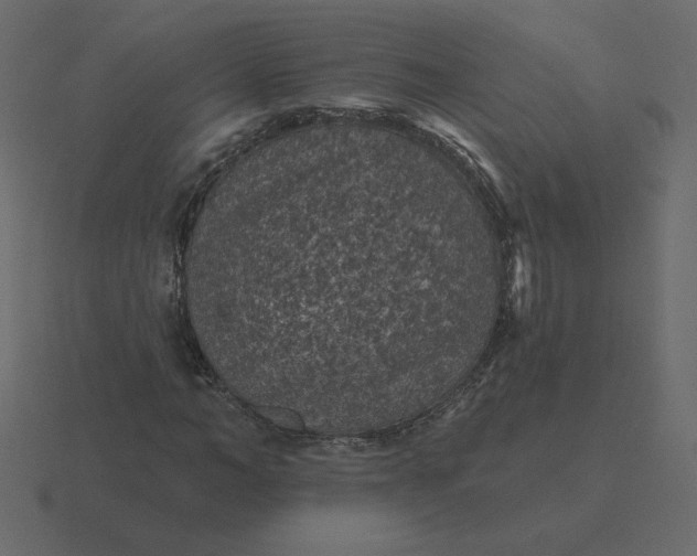 X0000116610966200912241730