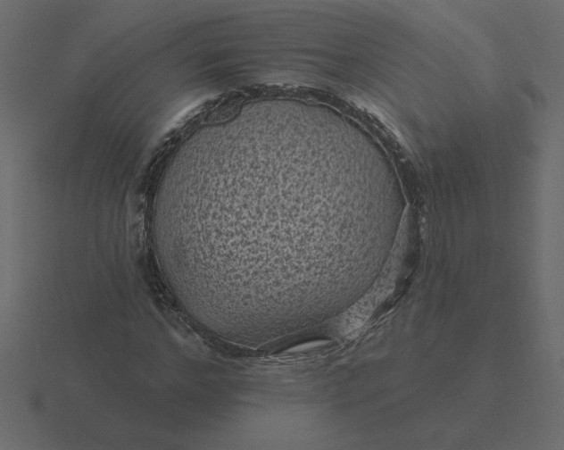 X0000116610968200912241730