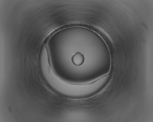 X0000116610969200912241730