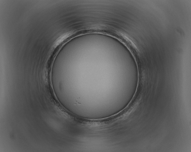 X0000116610970200912241730