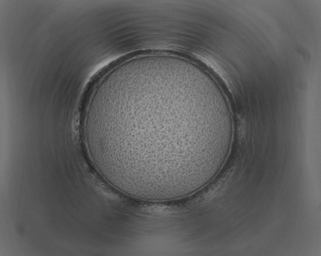 X0000116610971200912241730