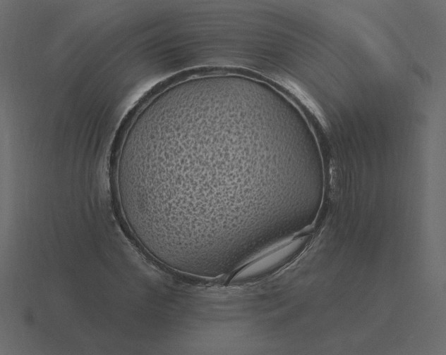 X0000116610972200912241730