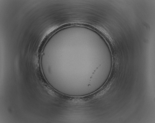 X0000116610974200912241730