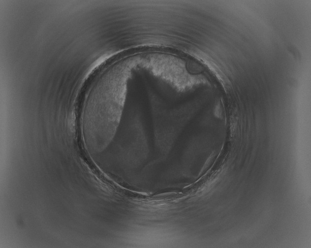 X0000116610975200912241730