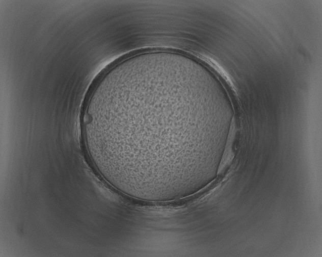 X0000116610980200912241730