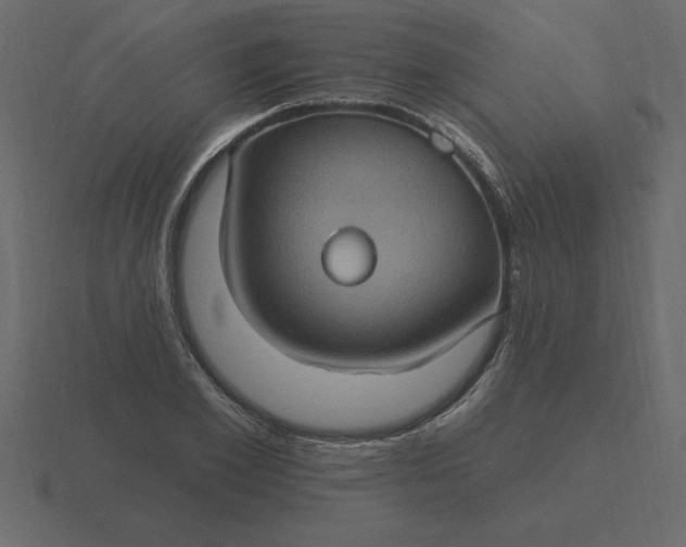 X0000116610981200912241730