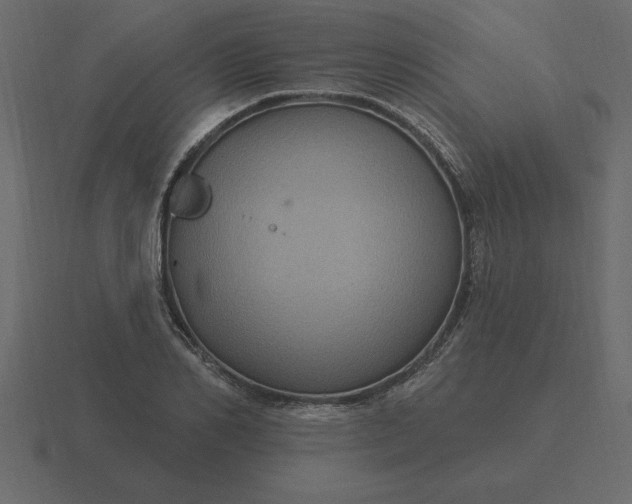 X0000116610982200912241730