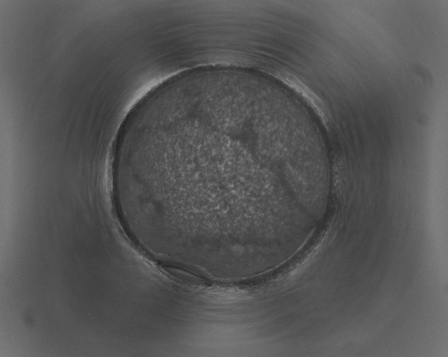 X0000116610983200912241730