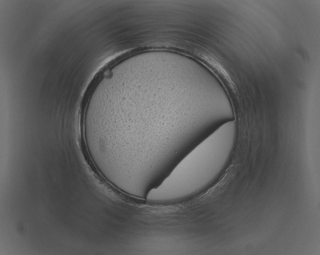 X0000116610984200912241730