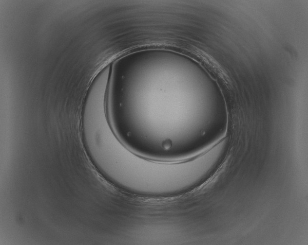 X0000116610985200912241730