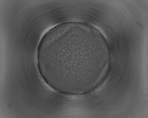 X0000116610987200912241730