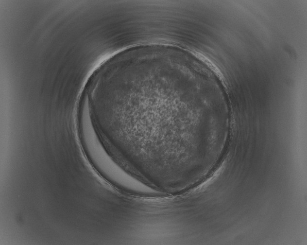 X0000116610989200912241730