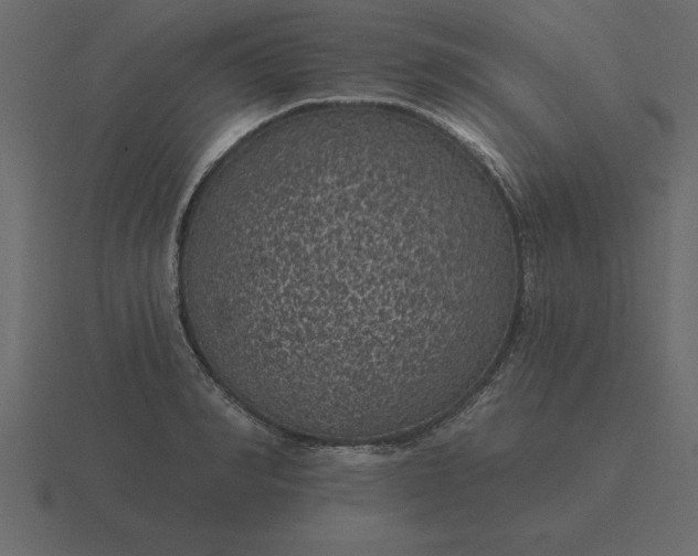 X0000116610990200912241730