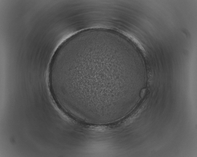 X0000116610991200912241730