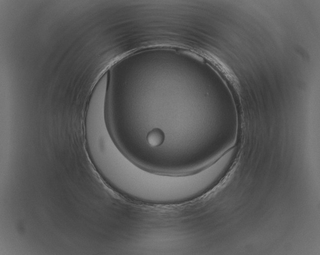 X0000116610993200912241730