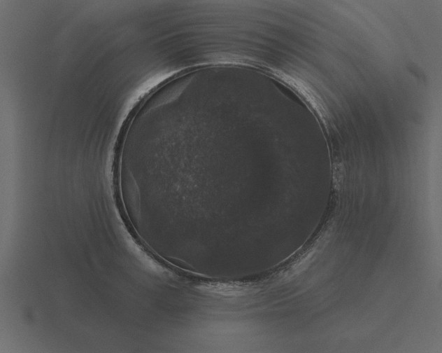 X0000116610995200912241730