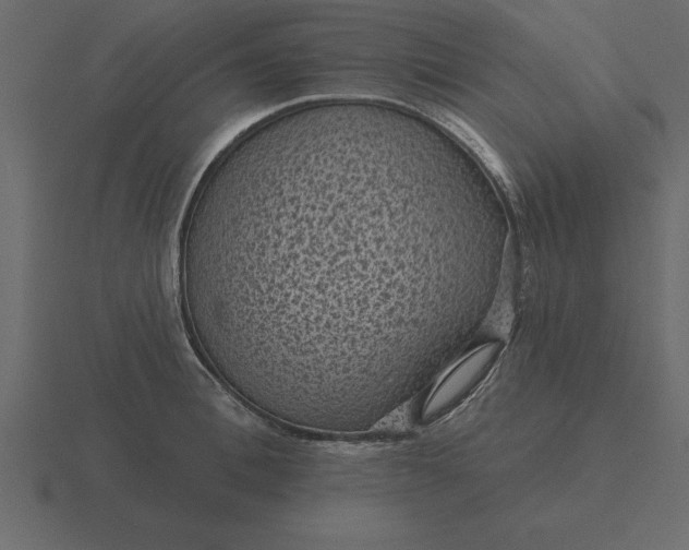 X0000116610996200912241730