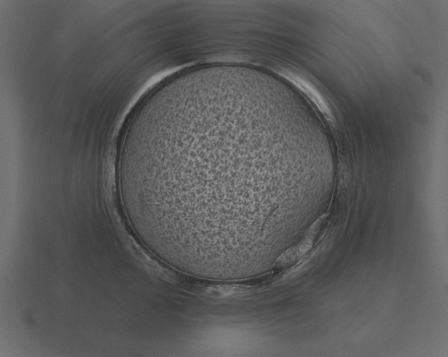 X0000116611000200912241730