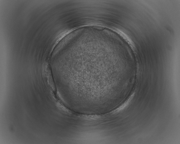 X0000116611001200912241730