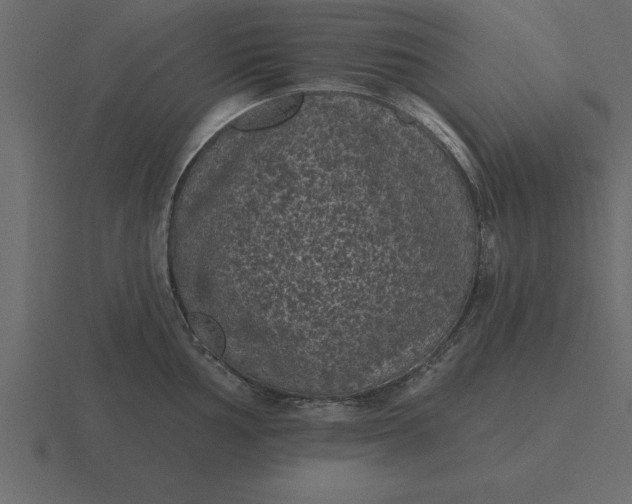 X0000116611002200912241730