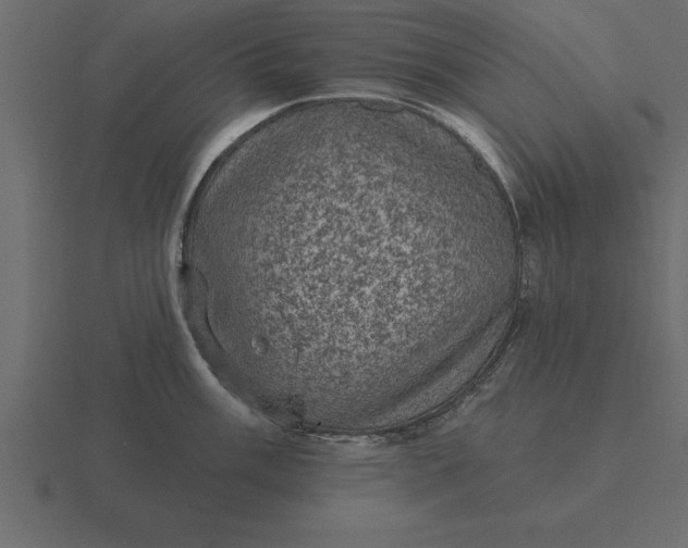 X0000116611003200912241730