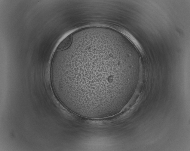 X0000116611004200912241730