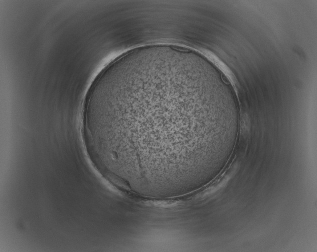 X0000116611005200912241730