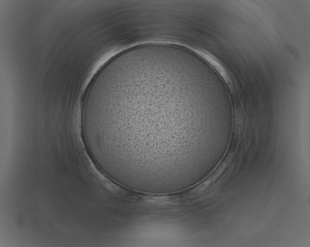 X0000116611006200912241729