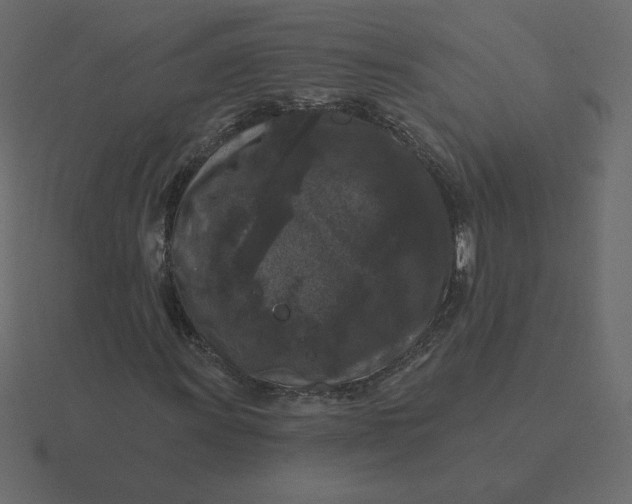 X0000116611011200912241729