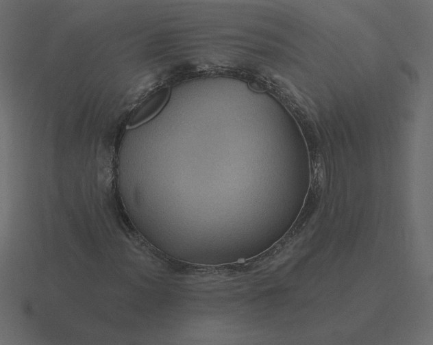 X0000116611012200912241729