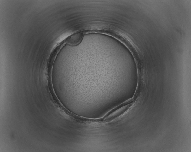 X0000116611018200912241729