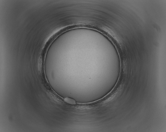 X0000116611021200912241729