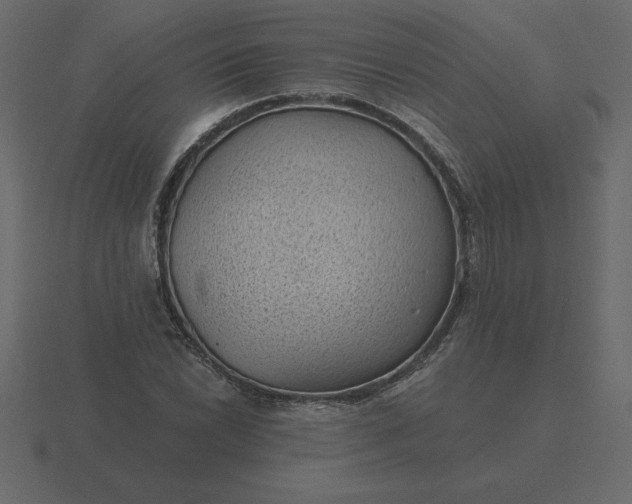 X0000116611022200912241729