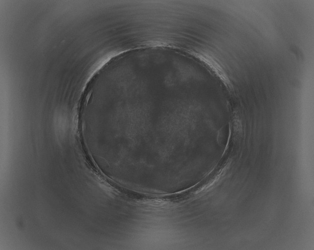 X0000116611023200912241729