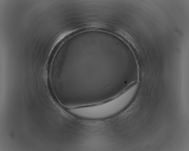 X0000116611024200912241729