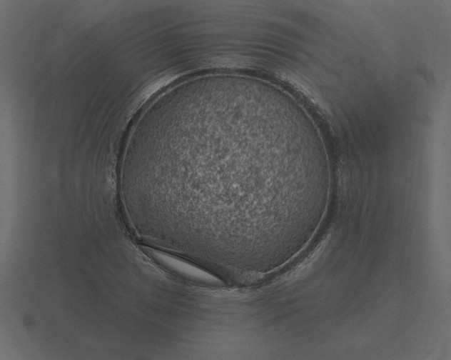 X0000116611025200912241729