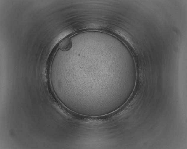 X0000116611026200912241729